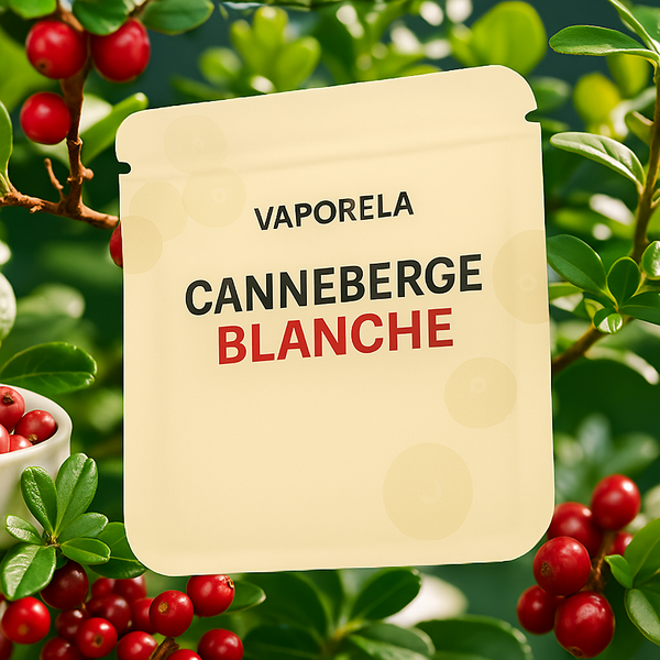 Canneberge Blanche